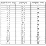 ⁦טבעת LOATE/ציפוי כסף⁩ – תמונה ⁦2⁩