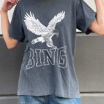 טי שירט כנפייםANINE BING | אפור